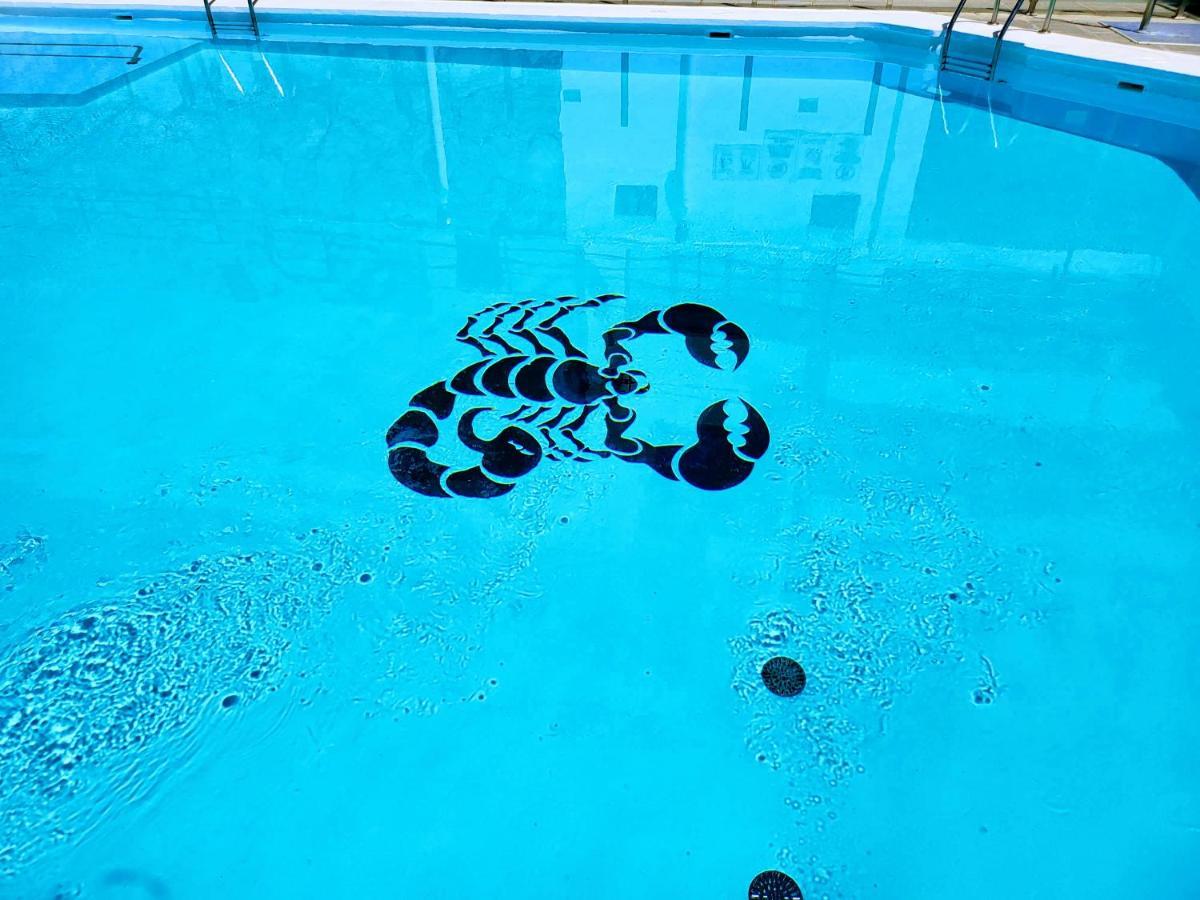 Cactus Apartment Puerto Rico  Zewnętrze zdjęcie